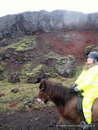 Miaomiao on an icelandic horse at the east side of the city