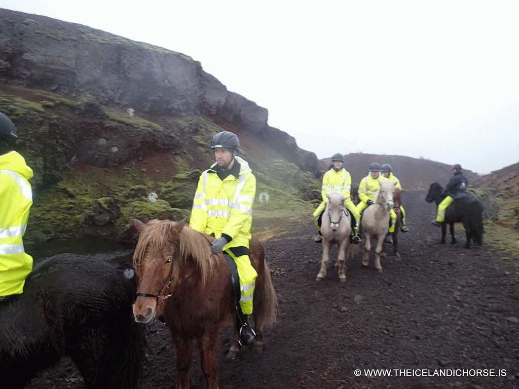 Tim and our tour group on icelandic horses at the east side of the city
