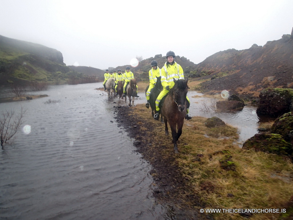 Our tour group on icelandic horses at the east side of the city