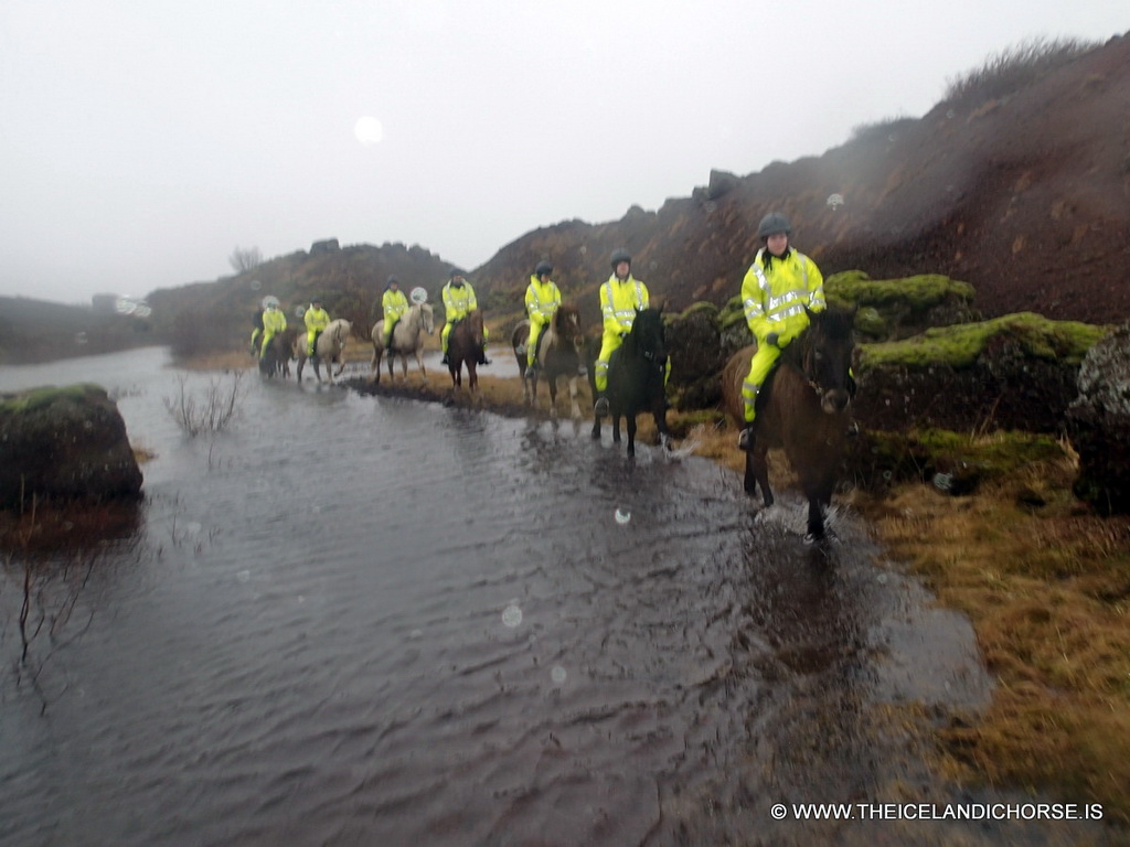 Our tour group on icelandic horses at the east side of the city