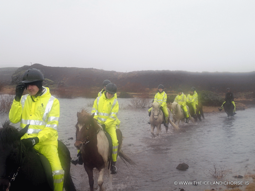 Tim, Miaomiao and our tour group on icelandic horses at the east side of the city