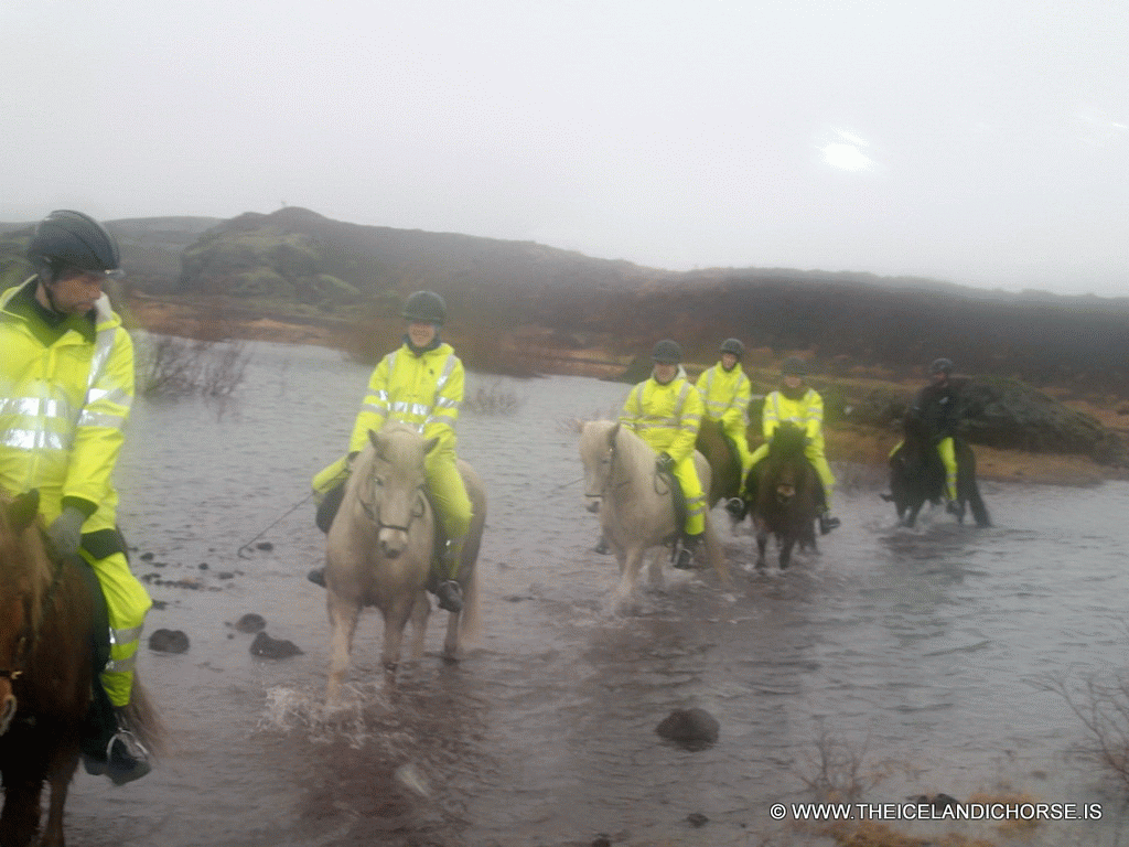 Tim, Miaomiao and our tour group on icelandic horses at the east side of the city