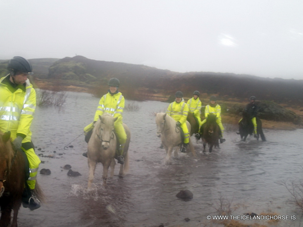 Tim, Miaomiao and our tour group on icelandic horses at the east side of the city