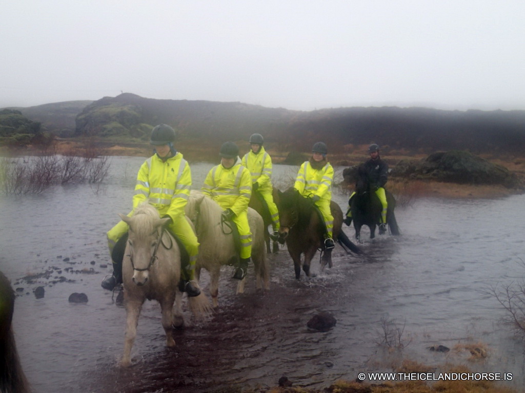 Miaomiao and our tour group on icelandic horses at the east side of the city