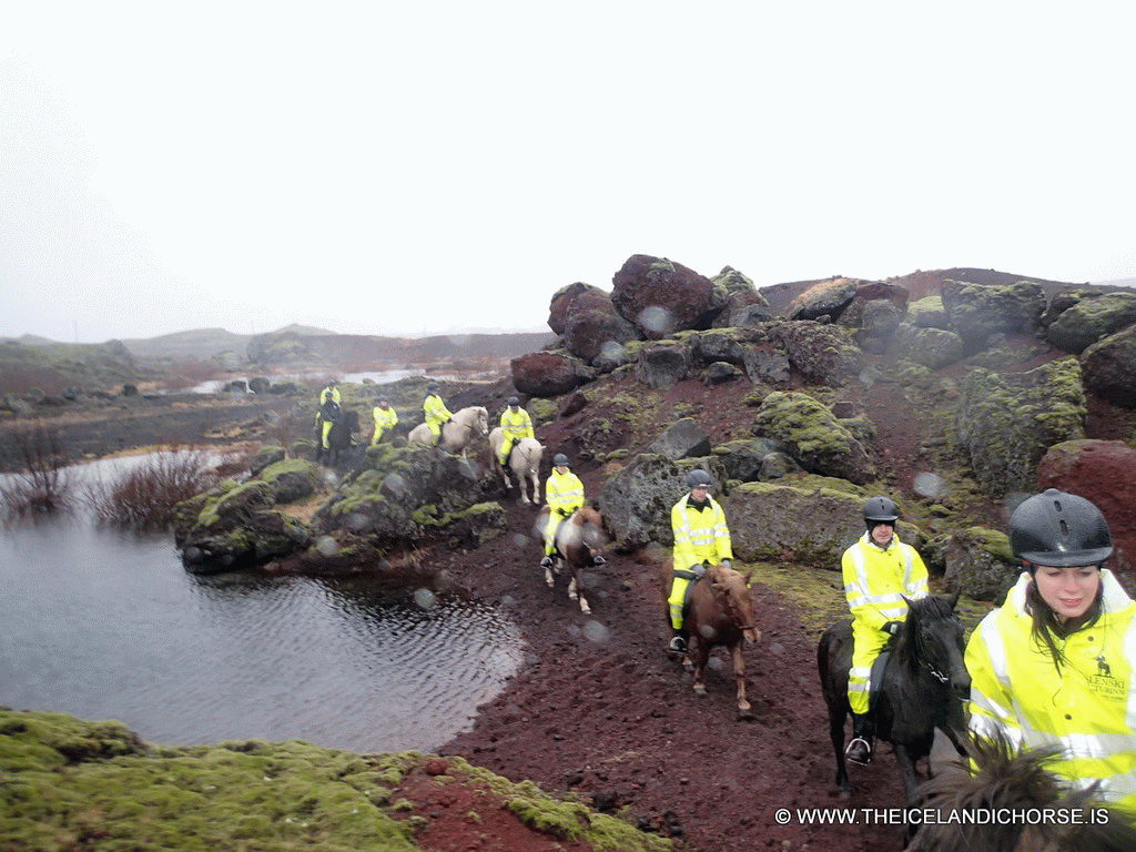 Tim, Miaomiao and our tour group on icelandic horses at the east side of the city