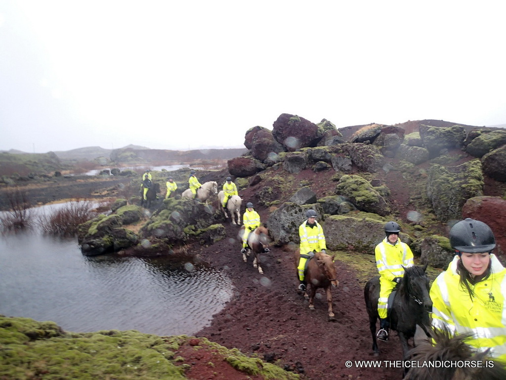 Tim, Miaomiao and our tour group on icelandic horses at the east side of the city