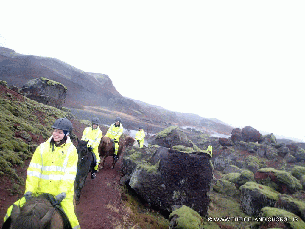 Tim and our tour group on icelandic horses at the east side of the city