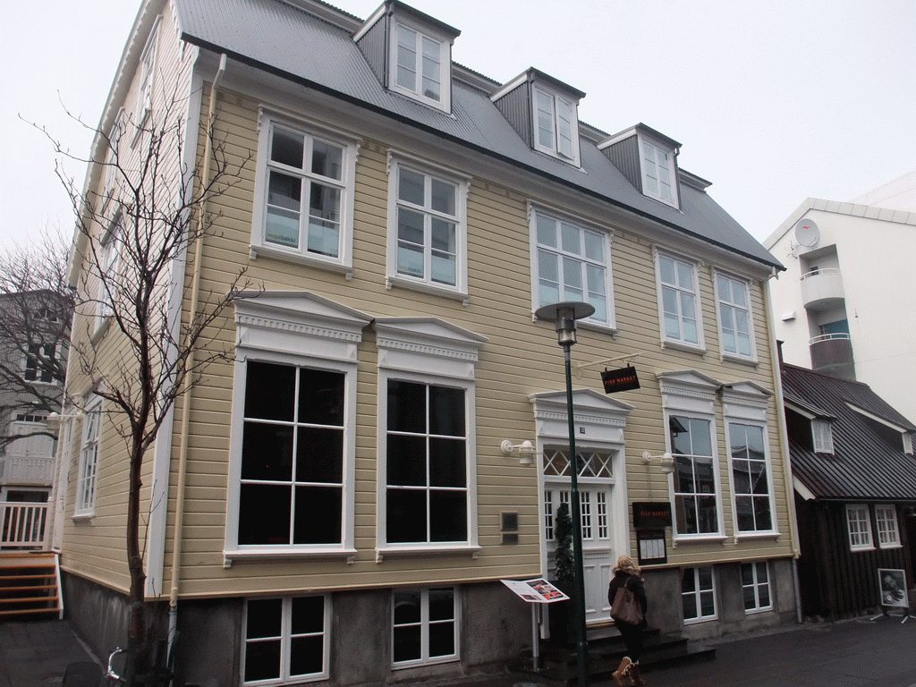 Miaomiao in front of the Fiskmarkadurinn restaurant at Adalstraeti street