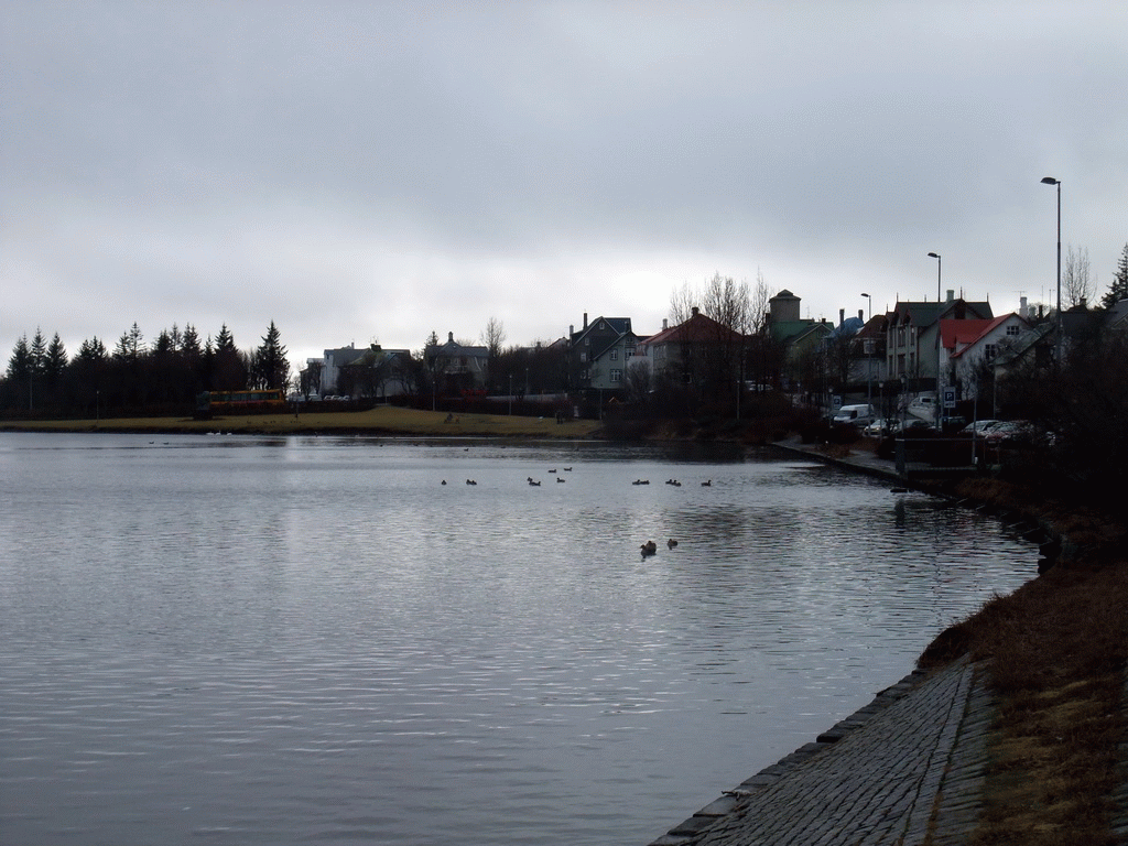 The west side of the Tjörnin lake