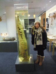 Miaomiao with a whale penis in the Icelandic Phallological Museum