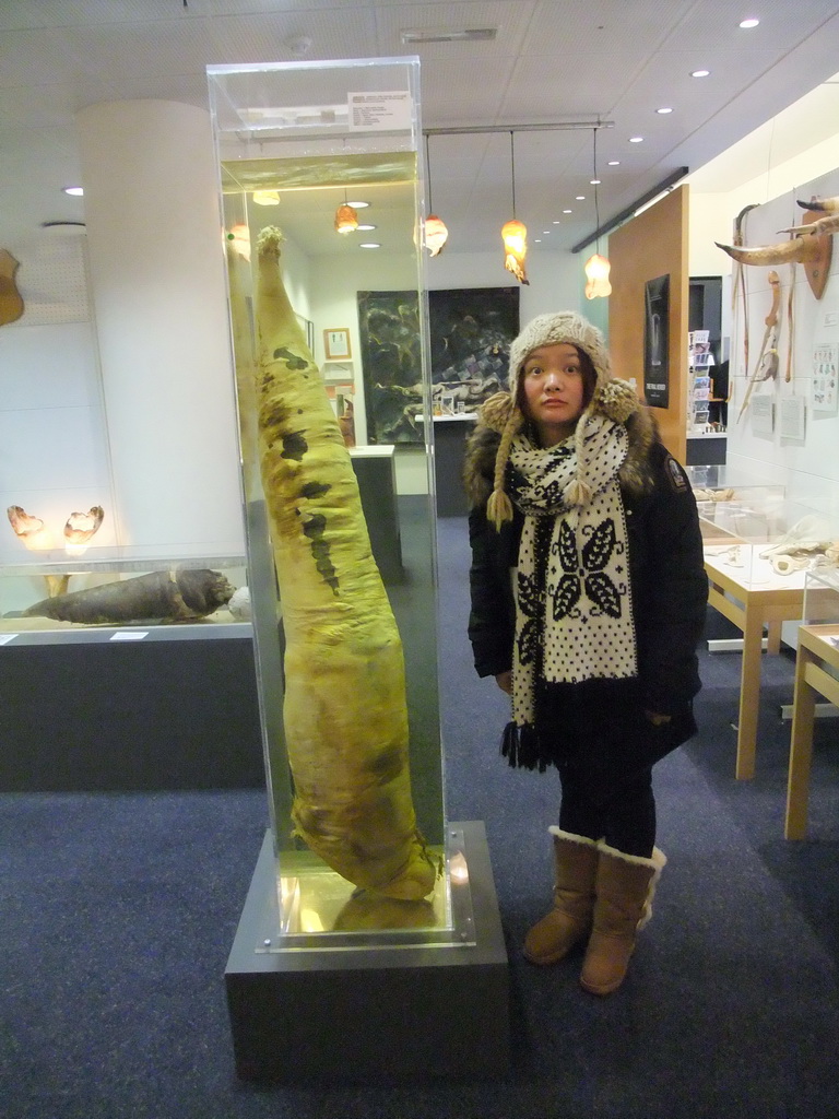 Miaomiao with a whale penis in the Icelandic Phallological Museum