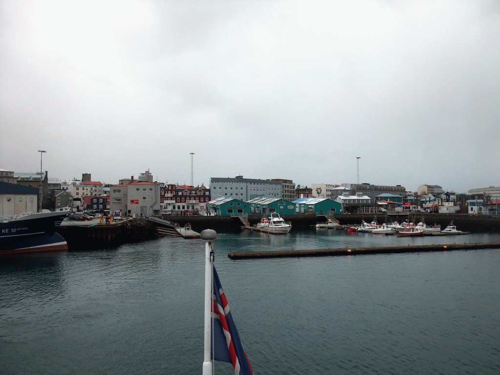 The Old Harbour, viewed from the Whale Watching Tour Boat