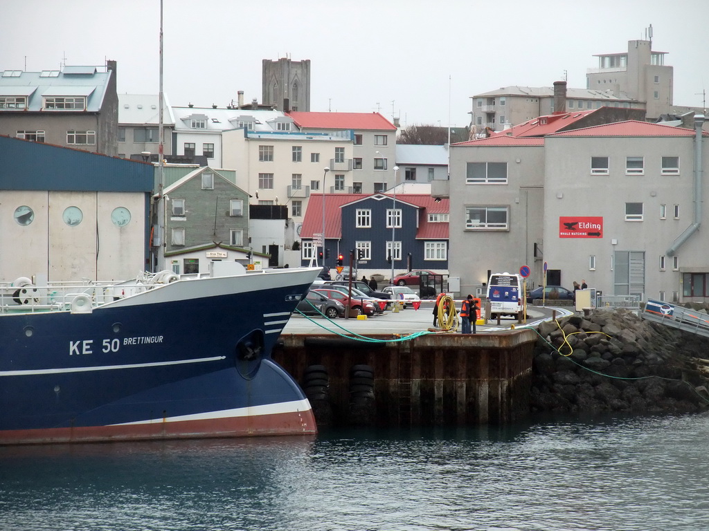 The Old Harbour, viewed from the Whale Watching Tour Boat