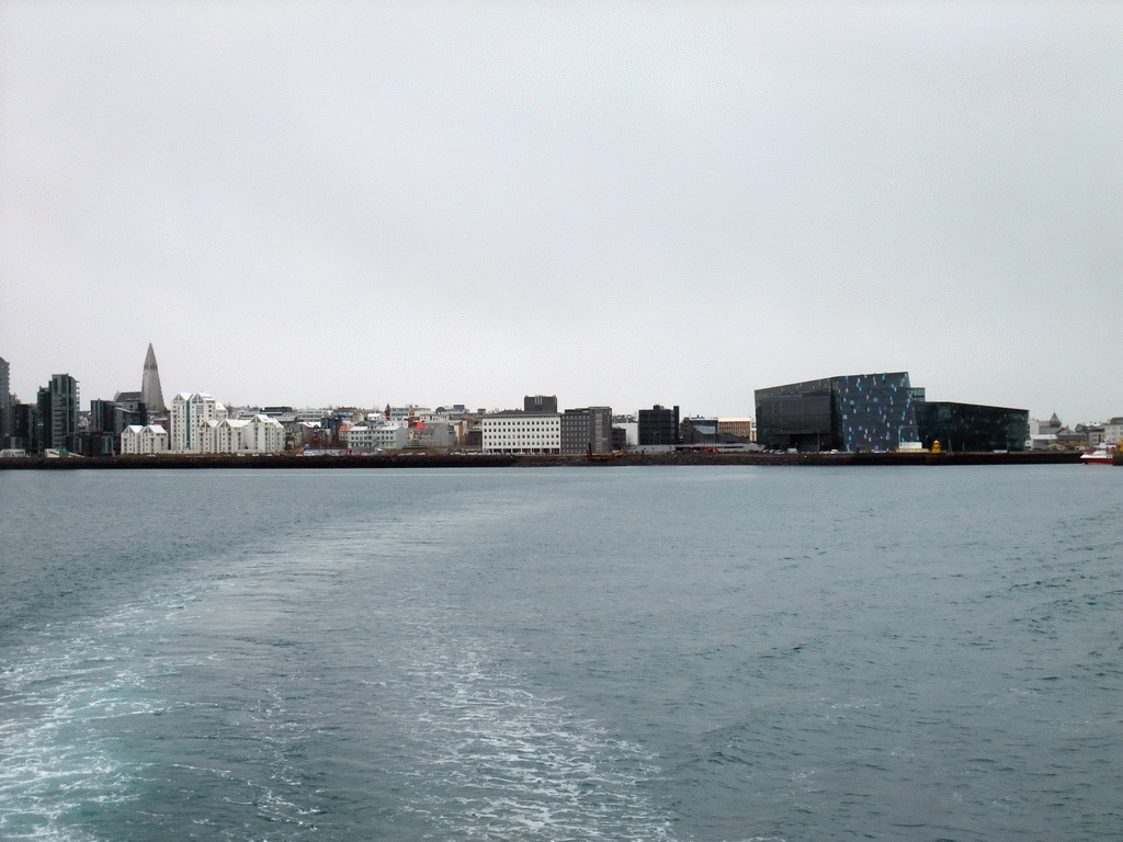 The city center with the Harpa Concert Hall and the tower of the Hallgrímskirkja church, viewed from the Whale Watching Tour Boat