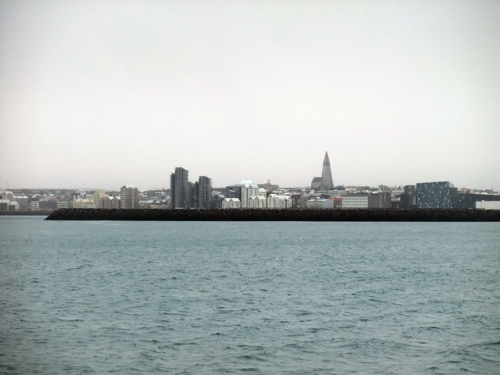 The city center with the Harpa Concert Hall and the tower of the Hallgrímskirkja church, viewed from the Whale Watching Tour Boat