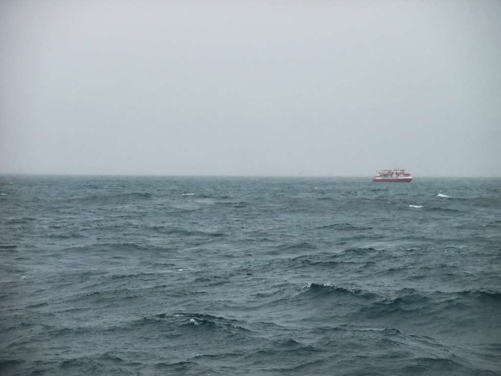 Whale Watching Tour Boat on the Atlantic Ocean, viewed from the Whale Watching Tour Boat