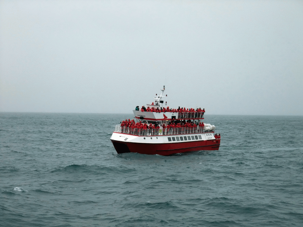 Whale Watching Tour Boat on the Atlantic Ocean, viewed from the Whale Watching Tour Boat