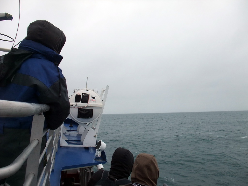 Our Whale Watching Tour Boat on the Atlantic Ocean