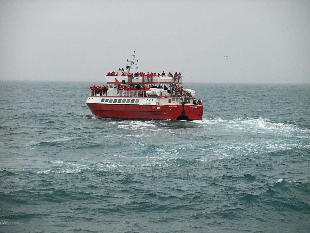 Whale Watching Tour Boat on the Atlantic Ocean, viewed from the Whale Watching Tour Boat