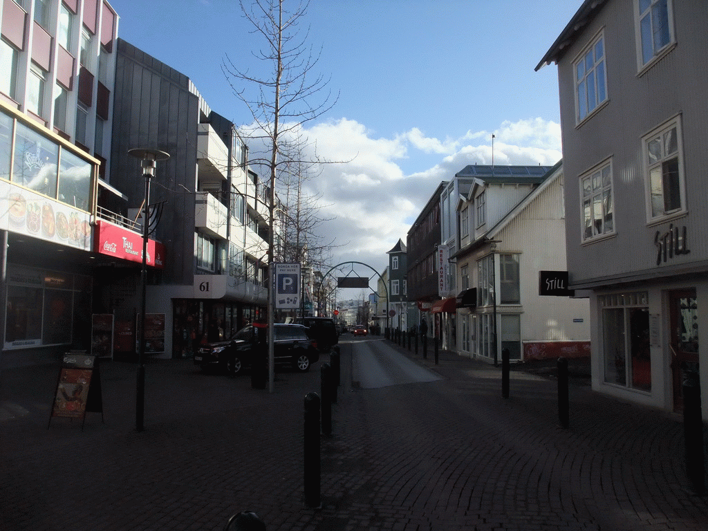 The Laugavegur street
