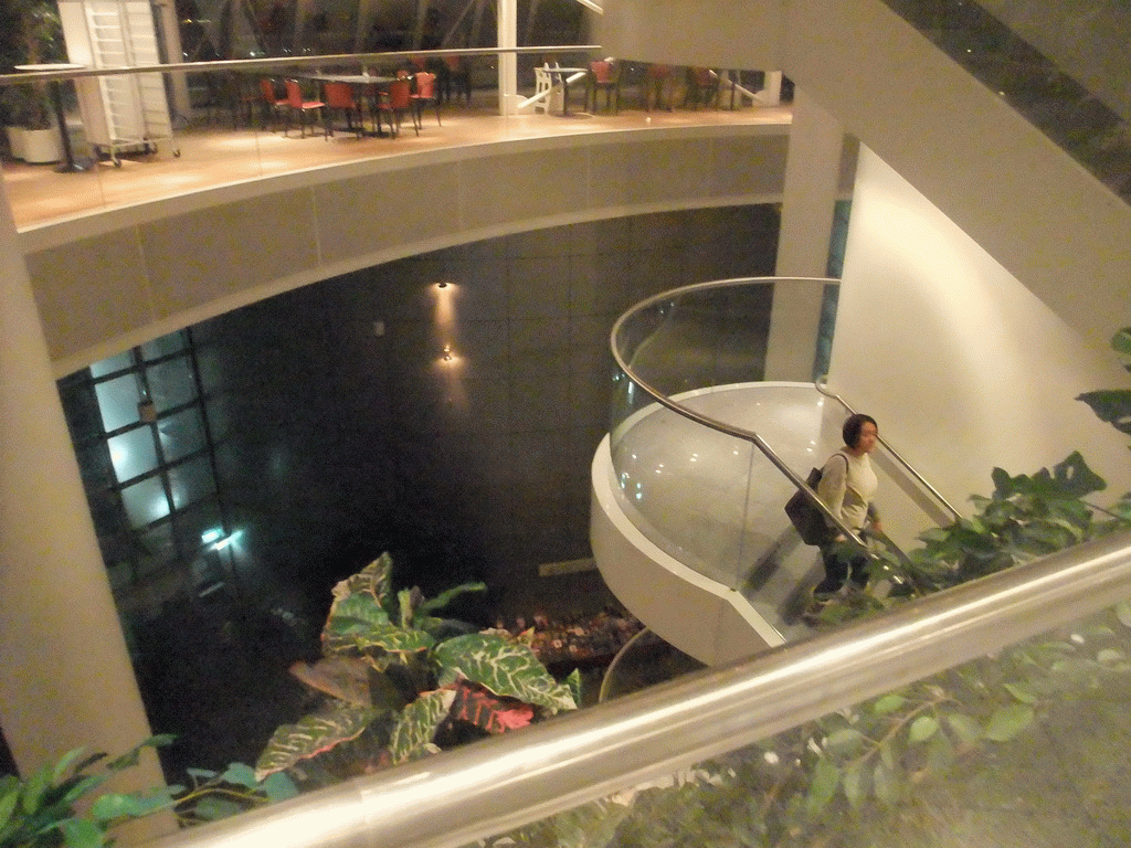 Miaomiao on the staircase of the Perlan building