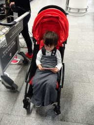 Max at the Baggage Hall at Keflavik International Airport