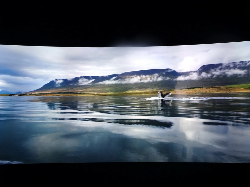 Virtual aquarium with a whale at the Wonders of Iceland exhibition at the Ground Floor of the Perlan building