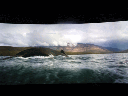 Virtual aquarium with a whale at the Wonders of Iceland exhibition at the Ground Floor of the Perlan building