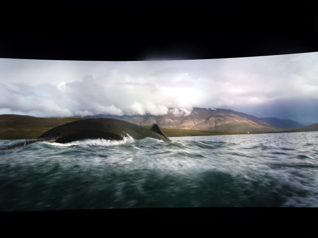 Virtual aquarium with a whale at the Wonders of Iceland exhibition at the Ground Floor of the Perlan building