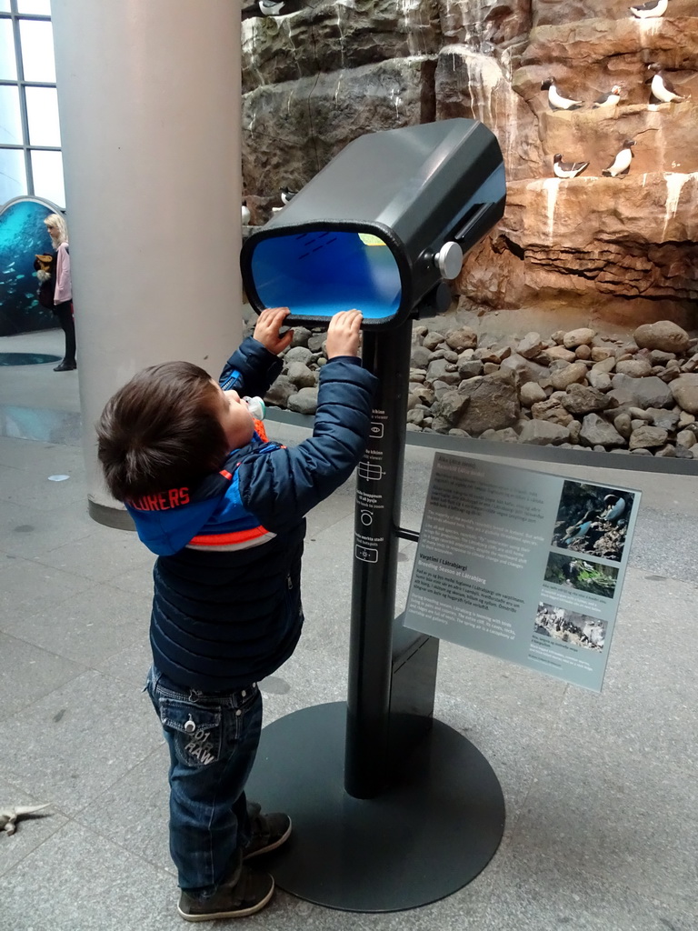 Max with a telescope in front of the model of the Látrabjarg Cliff at the Wonders of Iceland exhibition at the Ground Floor of the Perlan building