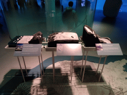 Scale models of glaciers at the Glaciers Exhibit at the Wonders of Iceland exhibition at the Second Floor of the Perlan building, with explanation