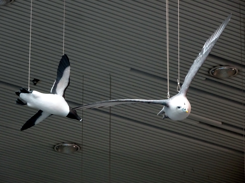 Birds hanging above the model of the Eyjafjörður fjord at the Wonders of Iceland exhibition at the Ground Floor of the Perlan building, viewed from the Second Floor