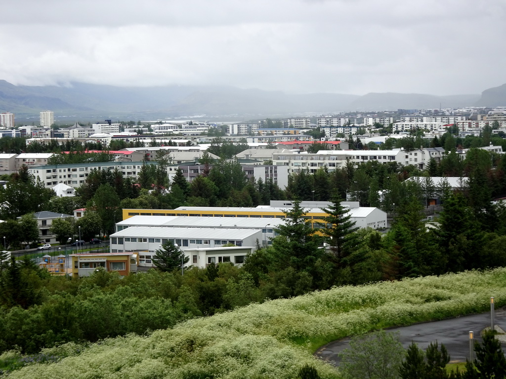 The northeast side of the city, viewed from the roof of the Perlan building