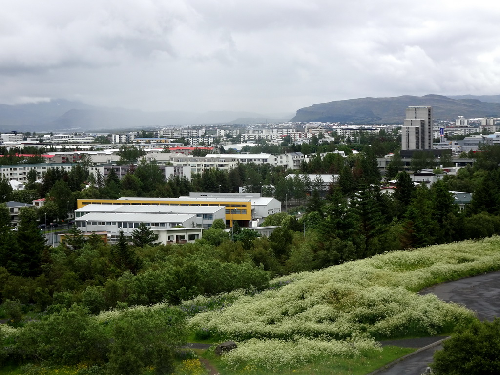 The northeast side of the city, viewed from the roof of the Perlan building