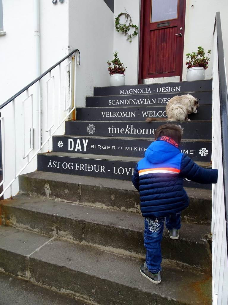 Max with a cat on a staircase at the Skólavörðustígur street