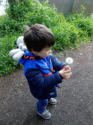 Max with a Dandelion at the Einar Jónsson Sculpture Garden