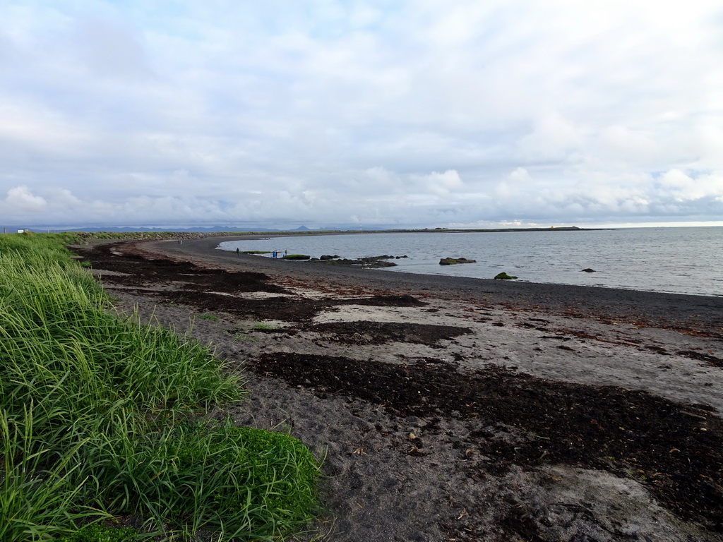 Beach at the western shore of the Seltjarnarnes neighbourhood