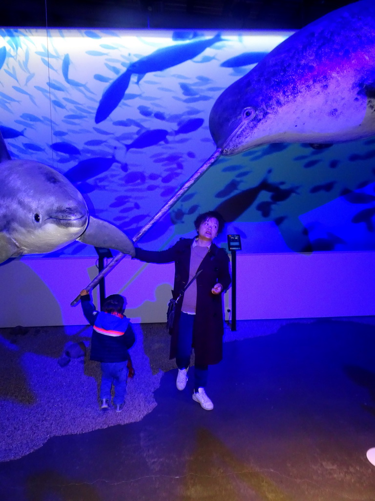 Miaomiao and Max with statues of a Striped Dolphin and a Narwhal at the Whales of Iceland exhibition