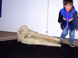 Max with a skull of a Whale at the Whales of Iceland exhibition