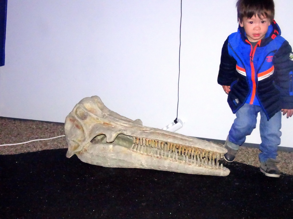Max with a skull of a Whale at the Whales of Iceland exhibition