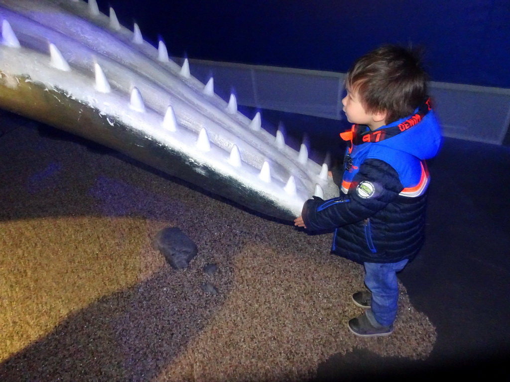 Max with a statue of a Sperm Whale at the Whales of Iceland exhibition