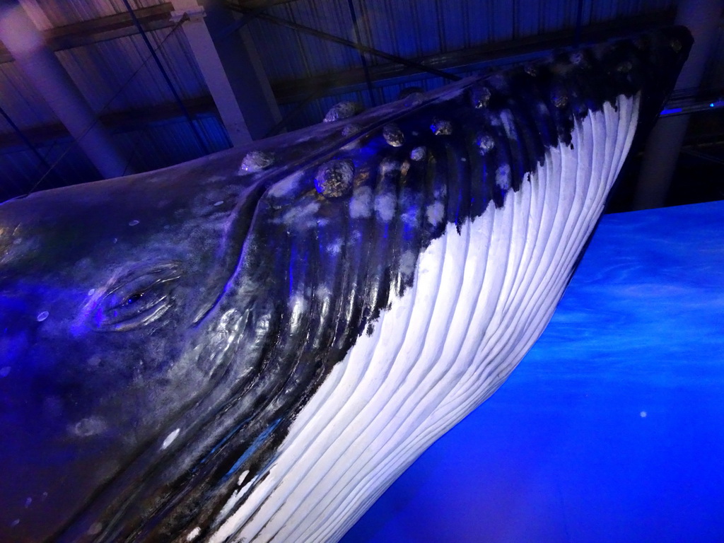 Statue of a Humpback Whale at the Whales of Iceland exhibition