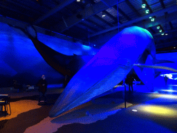 Statue of a Blue Whale at the Whales of Iceland exhibition