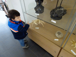 Max with a stuffed Crab at the Entrance Building of the Húsdýragarðurinn zoo