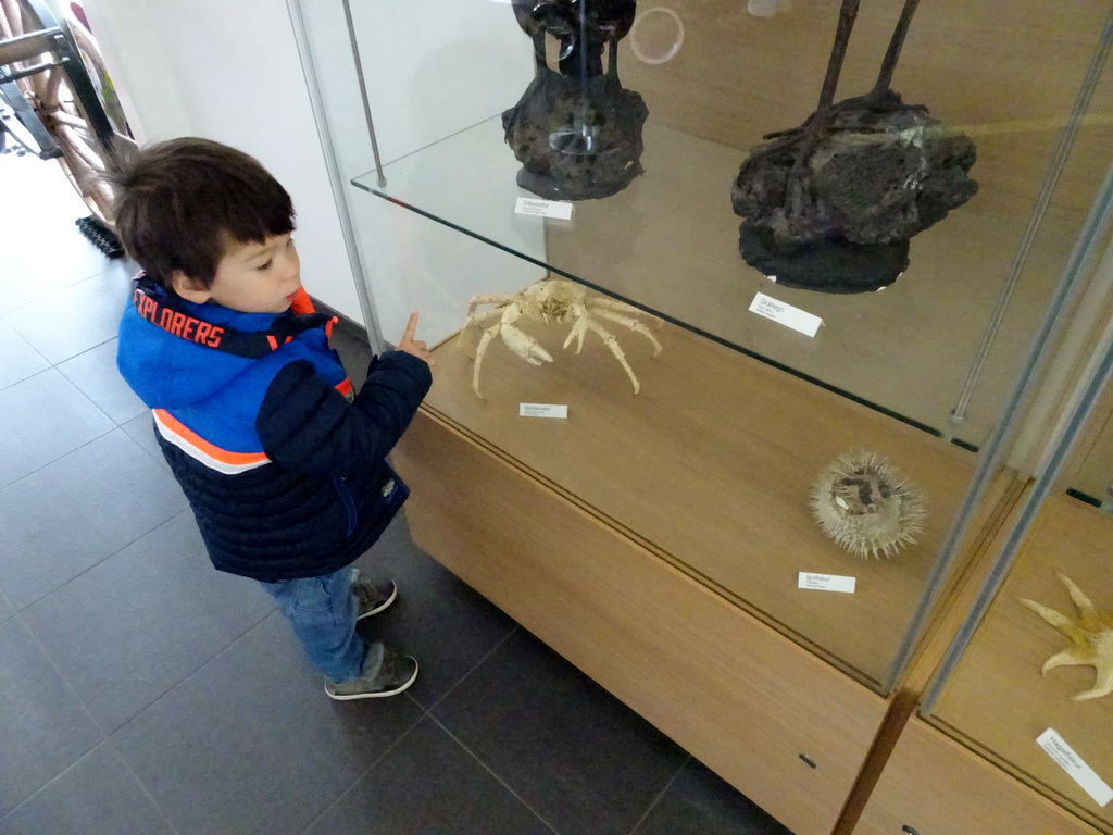 Max with a stuffed Crab at the Entrance Building of the Húsdýragarðurinn zoo