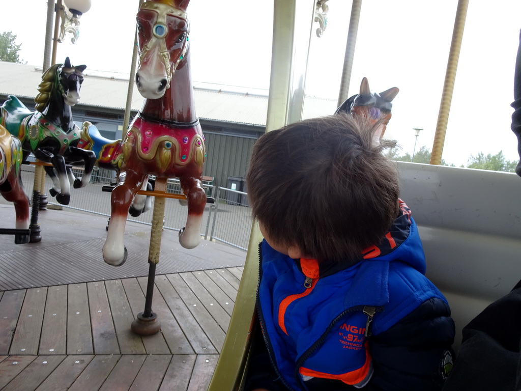 Max in the Carousel at the Húsdýragarðurinn zoo