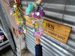 Snudduhorn pacifier antlers at the Húsdýragarðurinn zoo