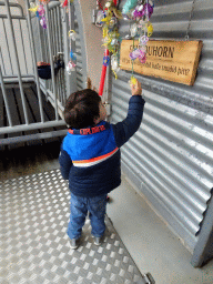 Max with the Snudduhorn pacifier antlers at the Húsdýragarðurinn zoo