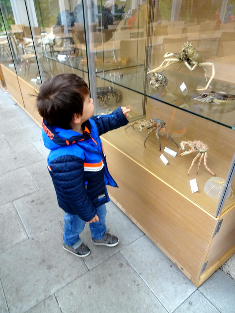 Max with stuffed Crabs at the Main Building of the Húsdýragarðurinn zoo