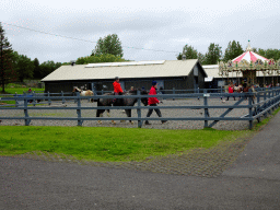 People riding horses at the Húsdýragarðurinn zoo